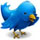 Siguenos en Twitter