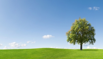 Declaratoria de Polo de Desarrollo de Econom�a Circular: Puebla