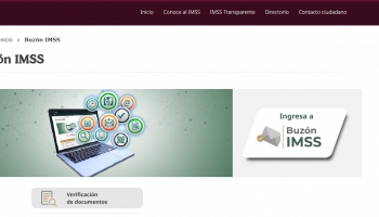 IMSS concentrar� la consulta de las c�dulas EMA y EBA en el Buz�n IMSS