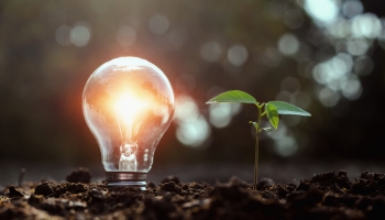 Impuesto a la Emisi�n de Gases Contaminantes a la Atm�sfera: Inconstitucional