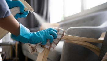 La PTU en el r�gimen de los Trabajadores del Hogar