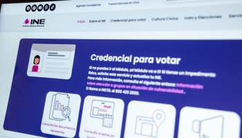 Credencial del INE: Los elementos de informaci�n viables y los inviables