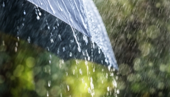 Das inhbiles en PRODECON Baja California Sur por Lorena