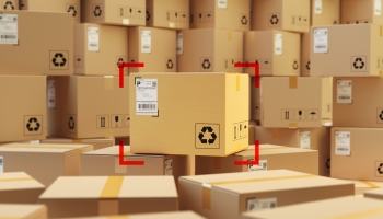 Validez constitucional de la Regla 6.1.1 de Comercio Exterior 