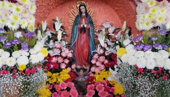 Diciembre 12: Inhbil?